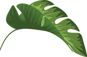 Wynad Exports